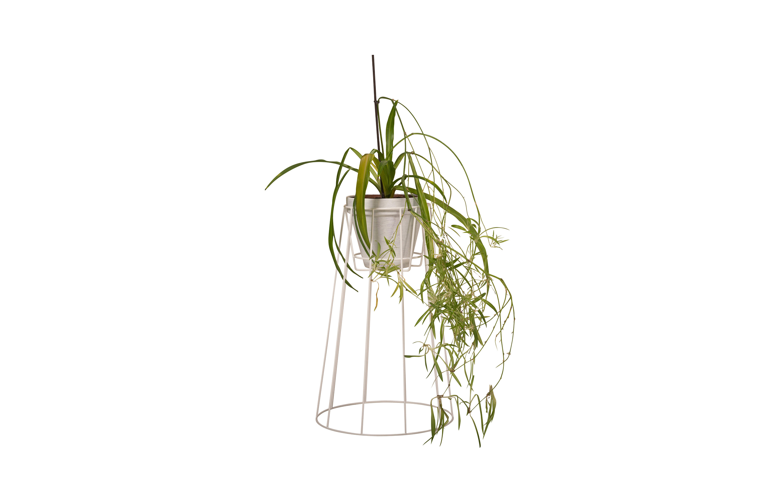 MK官网 - 附件|花器|MK(中国)一站式服务官网|设计师家具|西布莉植物架