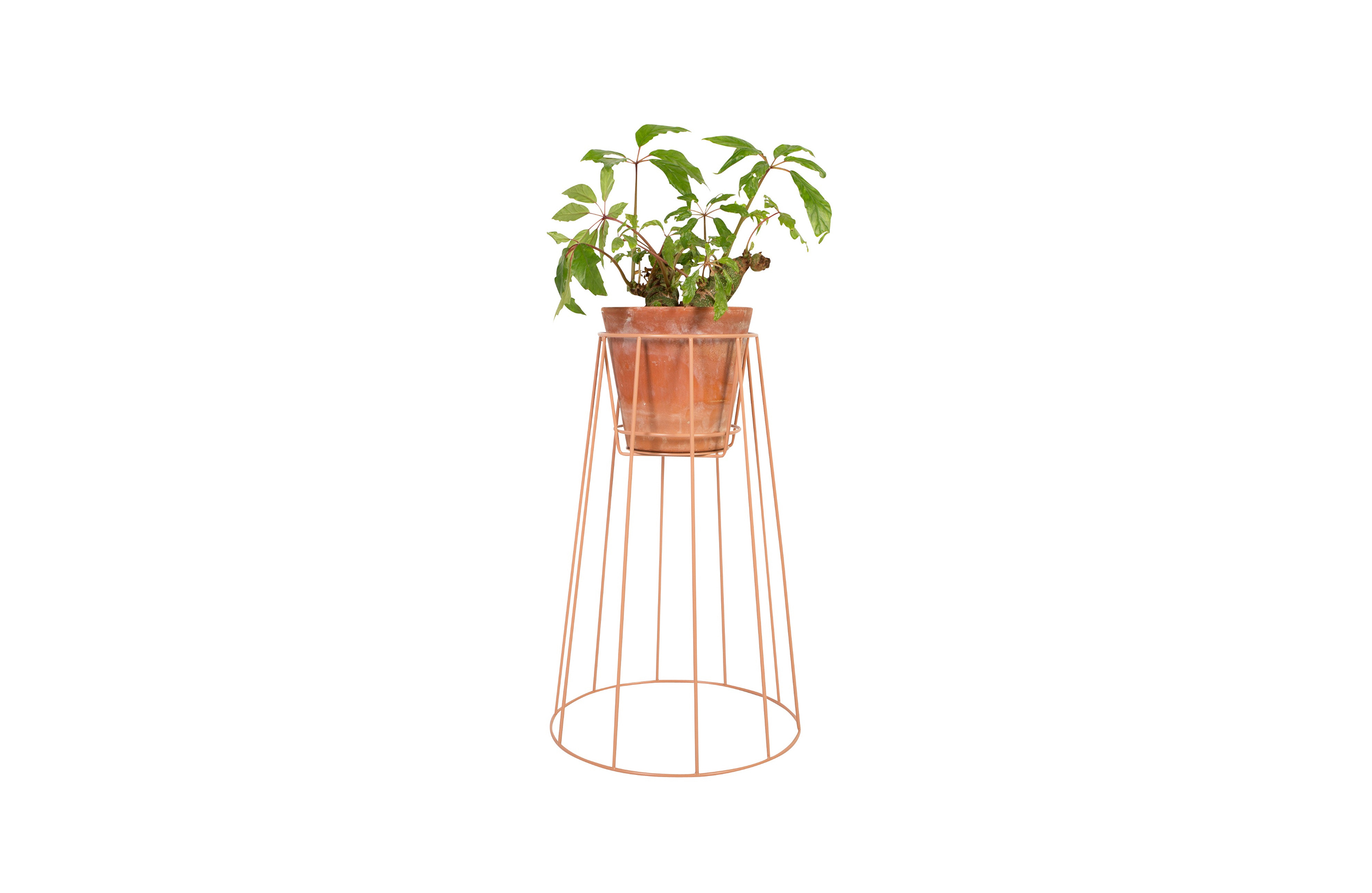 MK官网 - 附件|花器|MK(中国)一站式服务官网|设计师家具|西布莉植物架