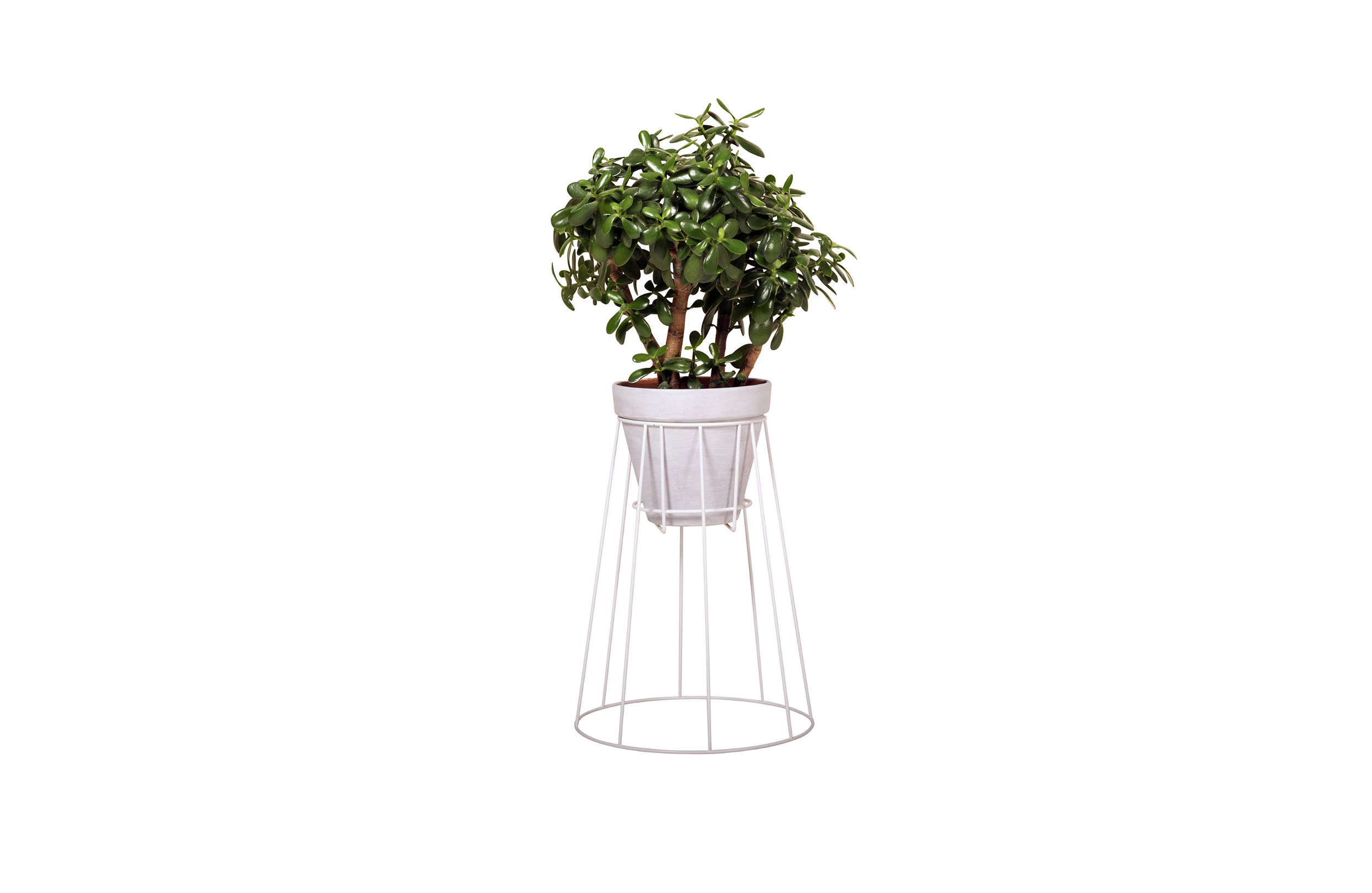 MK官网 - 附件|花器|MK(中国)一站式服务官网|设计师家具|西布莉植物架