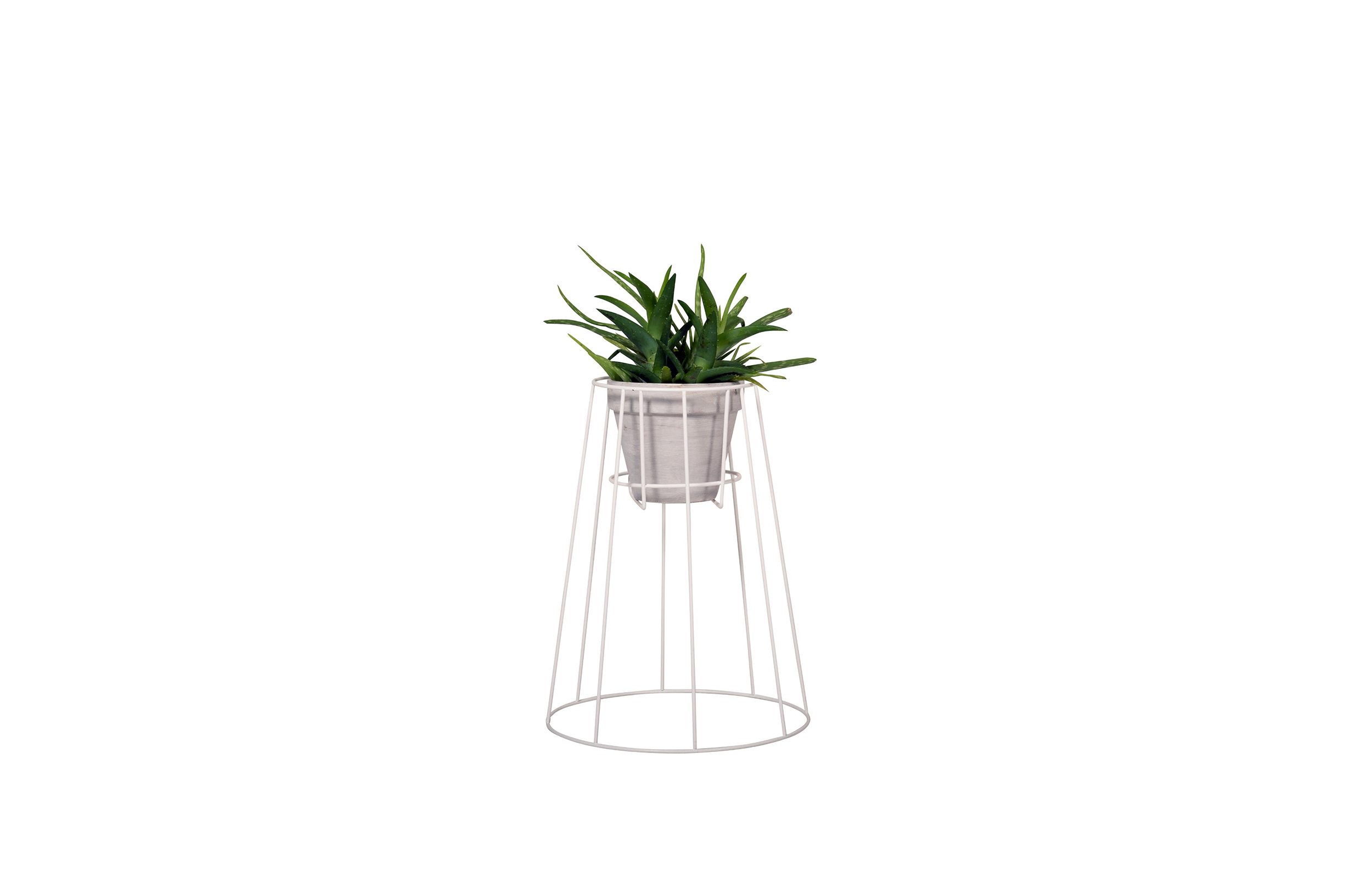 MK官网 - 附件|花器|MK(中国)一站式服务官网|设计师家具|西布莉植物架