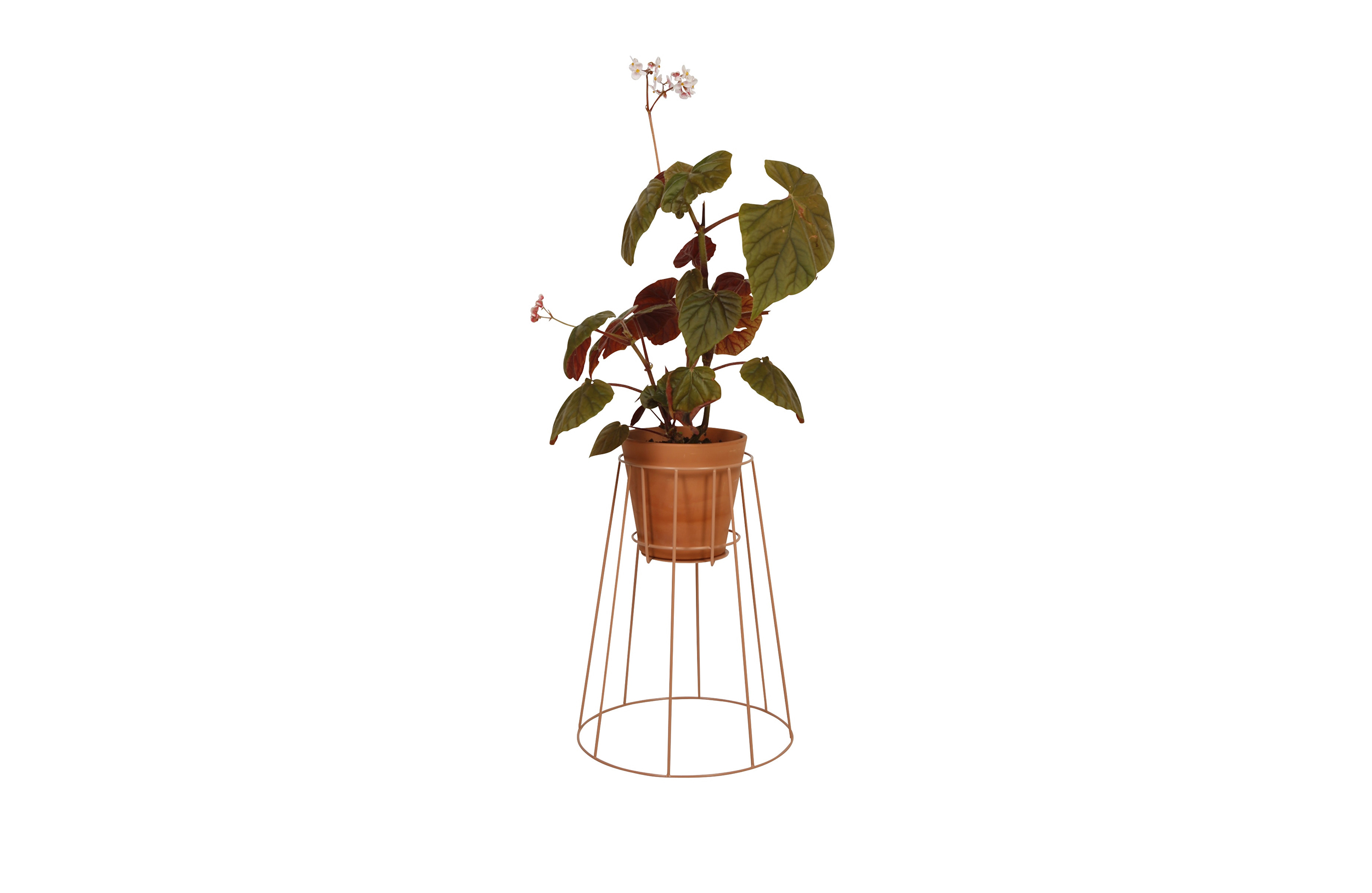 MK官网 - 附件|花器|MK(中国)一站式服务官网|设计师家具|西布莉植物架