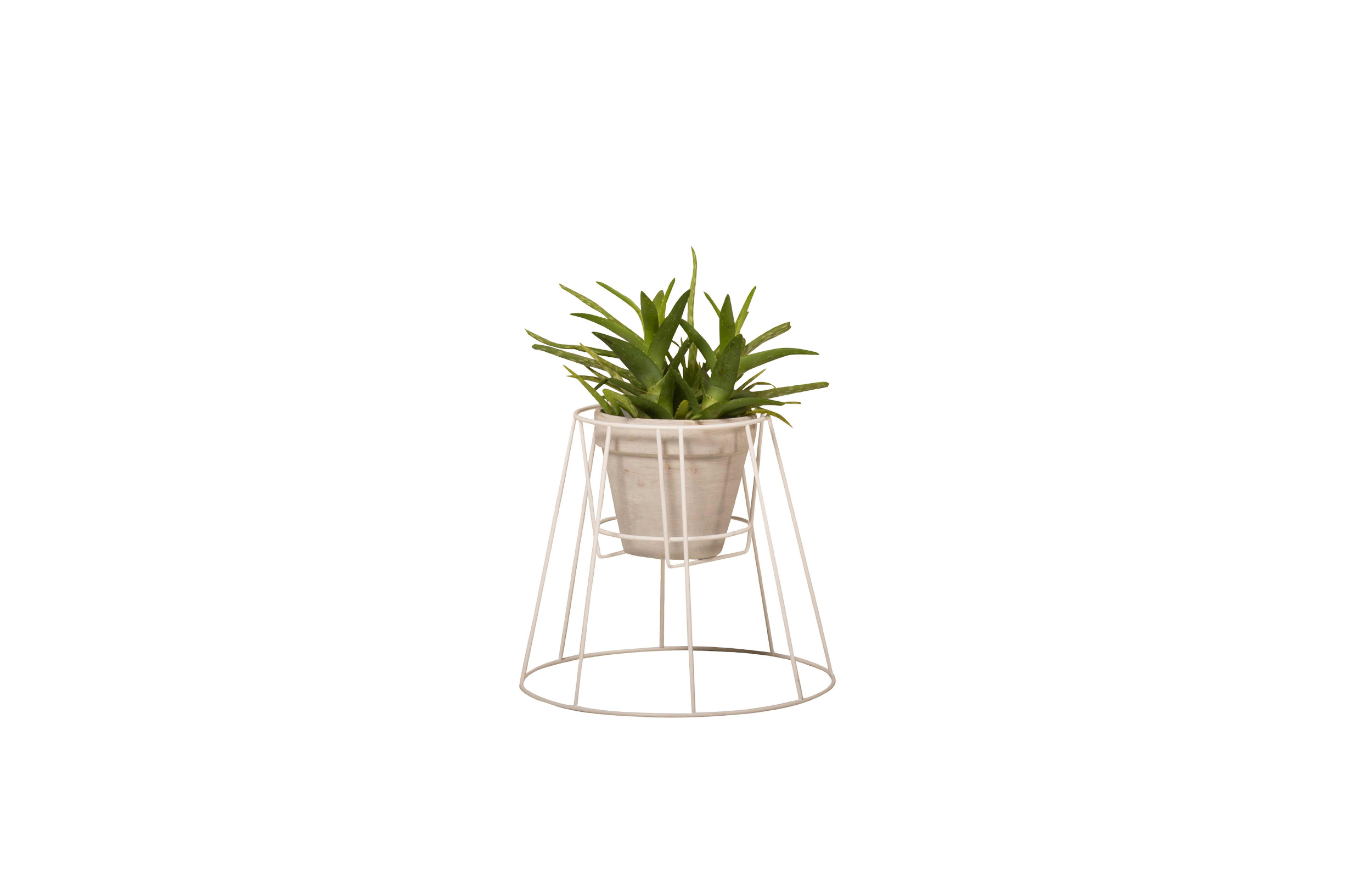 MK官网 - 附件|花器|MK(中国)一站式服务官网|设计师家具|西布莉植物架