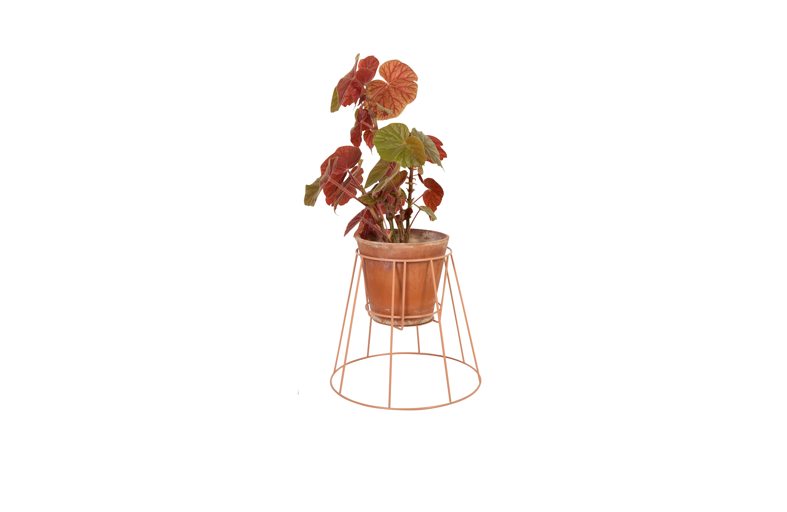 MK官网 - 附件|花器|MK(中国)一站式服务官网|设计师家具|西布莉植物架