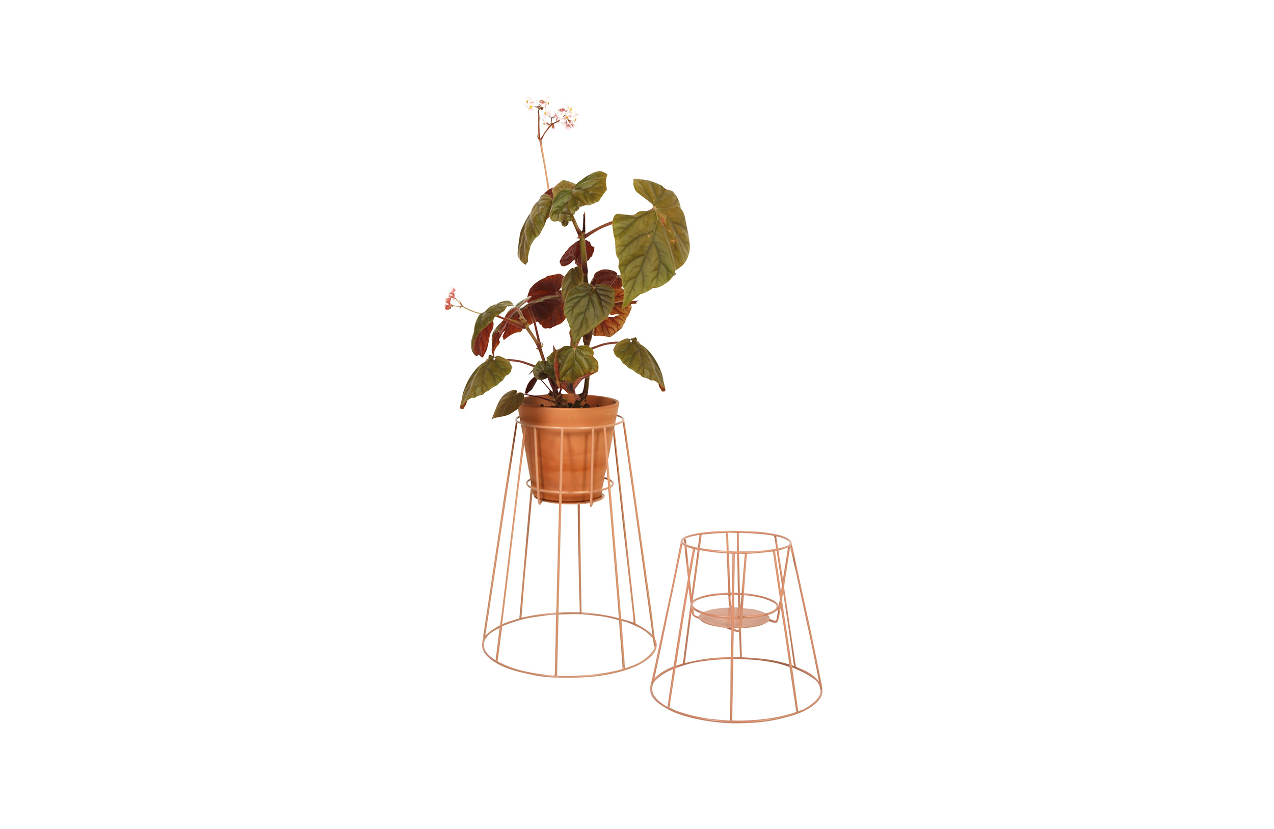 MK官网 - 附件|花器|MK(中国)一站式服务官网|设计师家具|西布莉植物架