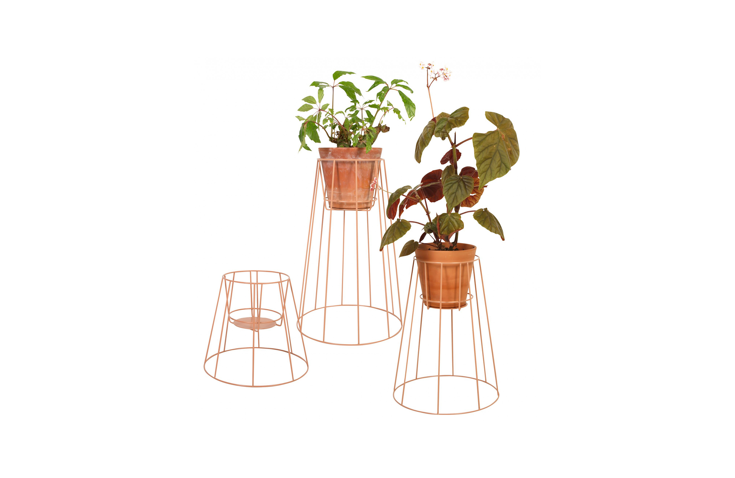 MK官网 - 附件|花器|MK(中国)一站式服务官网|设计师家具|西布莉植物架