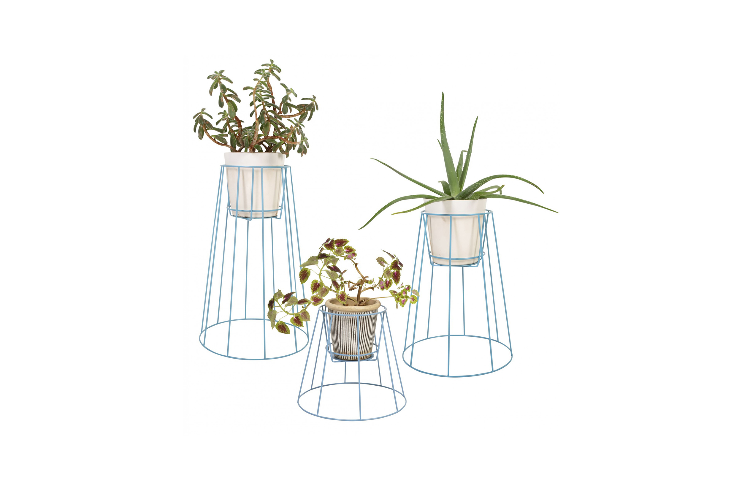 MK官网 - 附件|花器|MK(中国)一站式服务官网|设计师家具|西布莉植物架