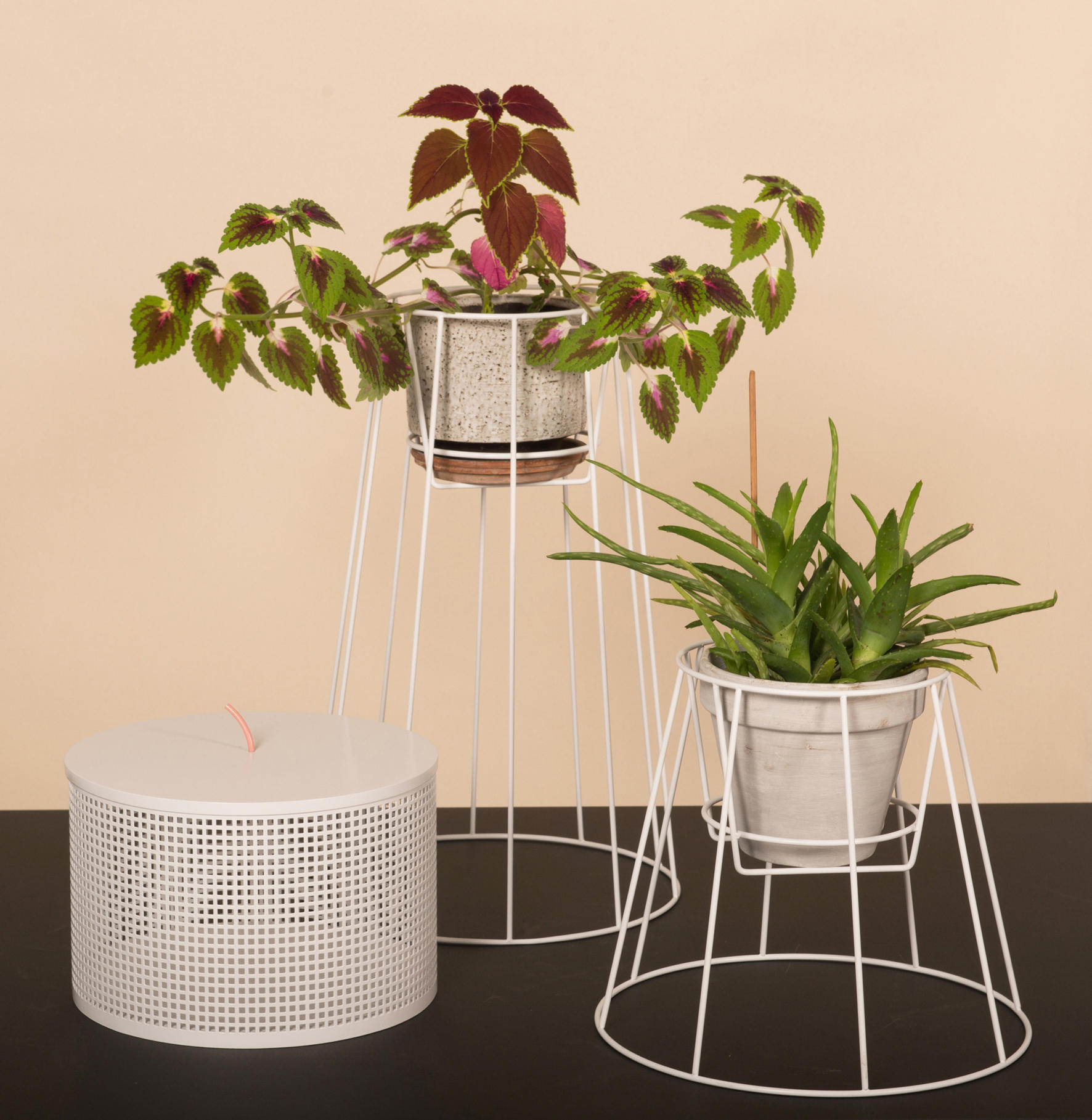 MK官网 - 附件|花器|MK(中国)一站式服务官网|设计师家具|西布莉植物架