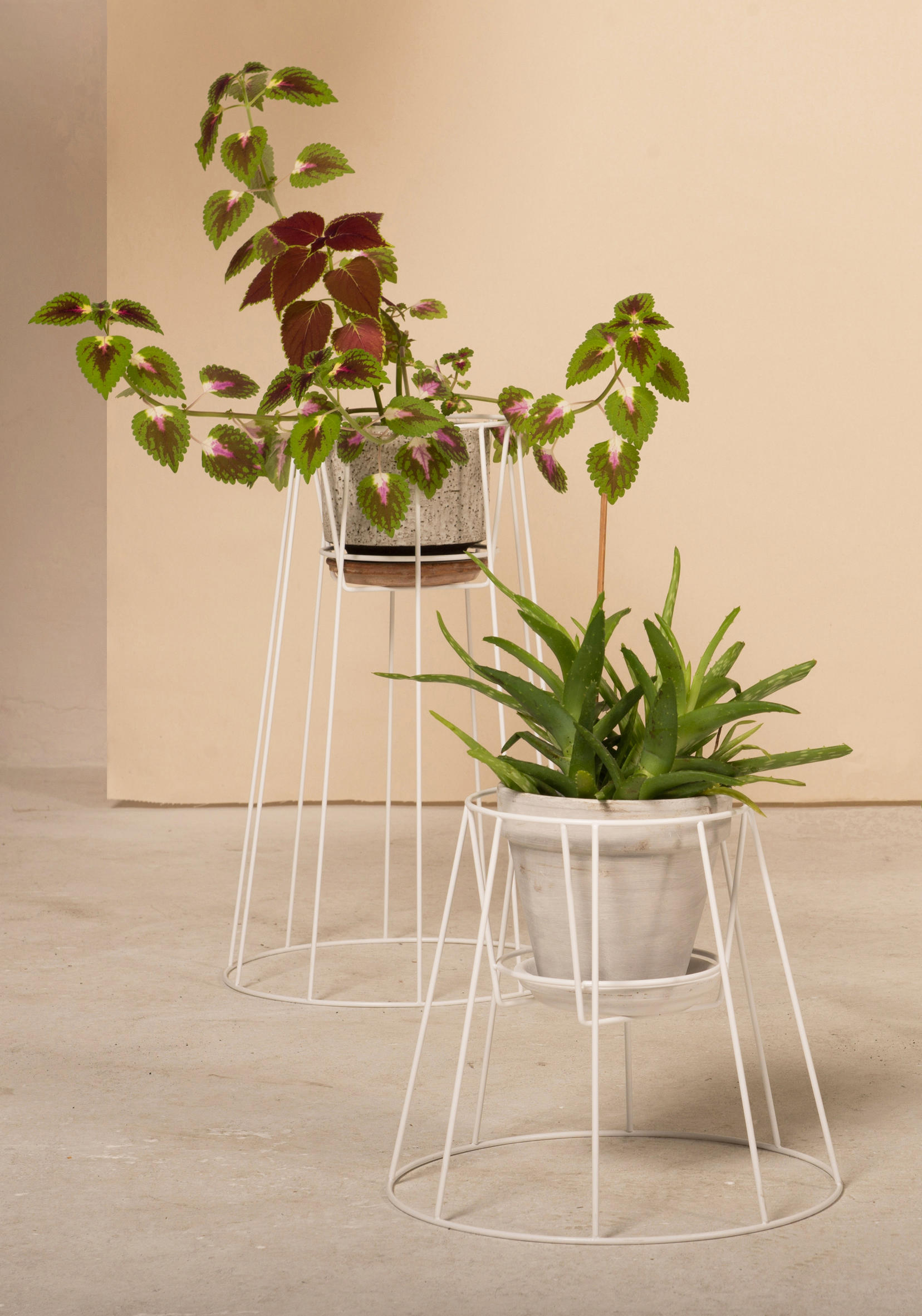 MK官网 - 附件|花器|MK(中国)一站式服务官网|设计师家具|西布莉植物架