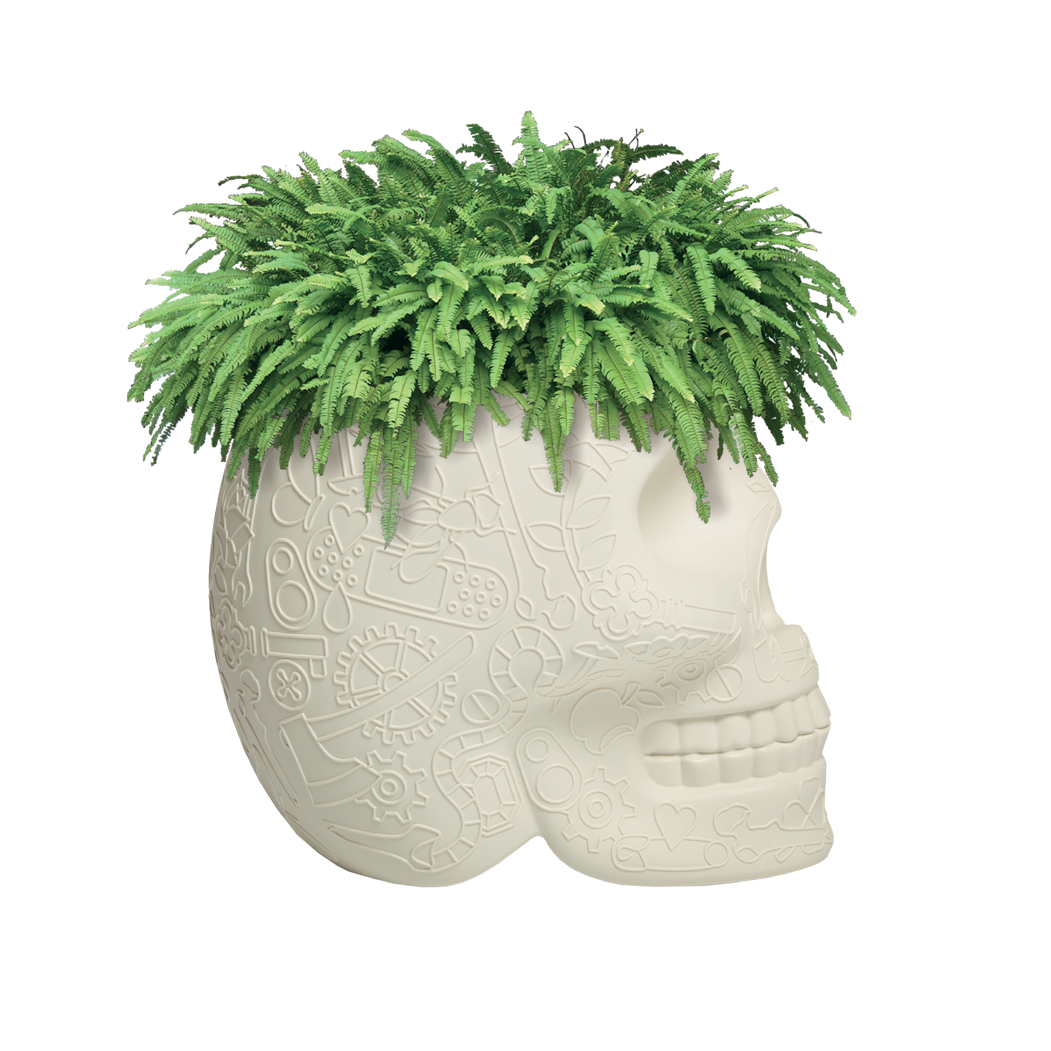 MK官网 - 附件|花器|MK(中国)一站式服务官网|设计师家具|墨西哥花盆